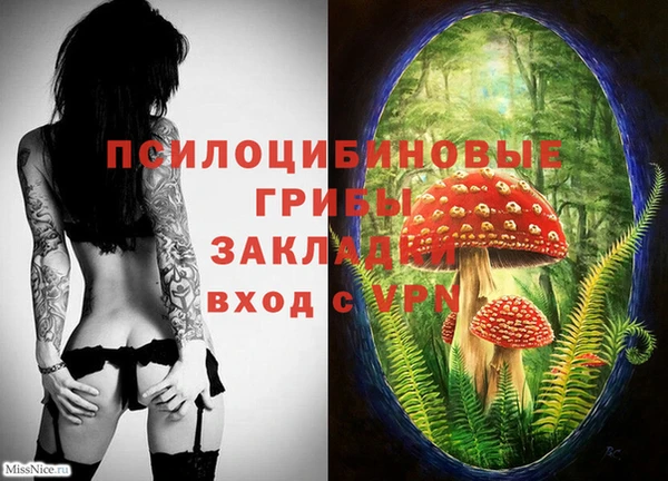 ешки Краснослободск