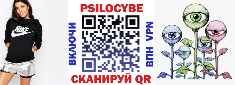 Псилоцибиновые грибы мицелий  Пойковский 