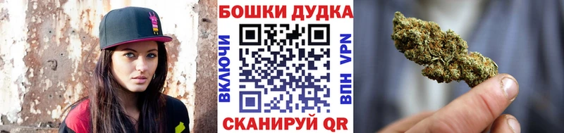 цена   Пойковский  Конопля сатива 